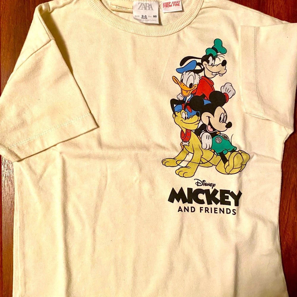 Zara Boys T-Shirt 2-3 years New without tags